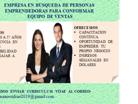 Representante en Ventas 