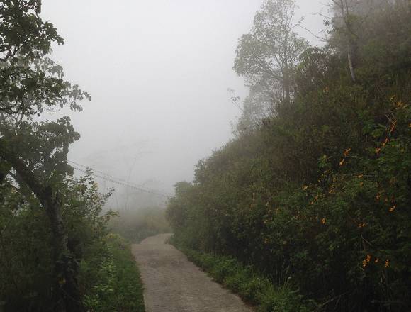 Finca en Carayaca Estado Vargas.