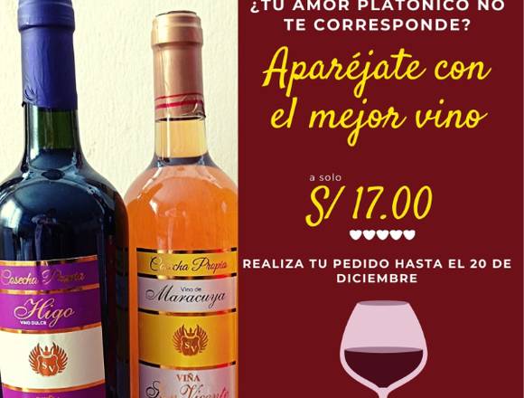 Ricos vinos navideños