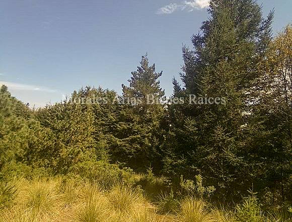 Terreno de 10,540 m² en venta, Santo Tomás Ajusco