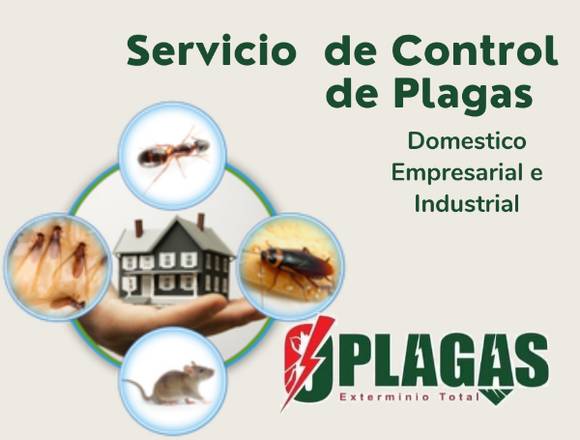 Servicio de exterminio de Plagas  