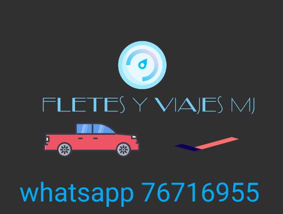 Fletes y viajes en pick Up en San Miguel