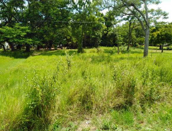 Vendo Terreno en Limpio