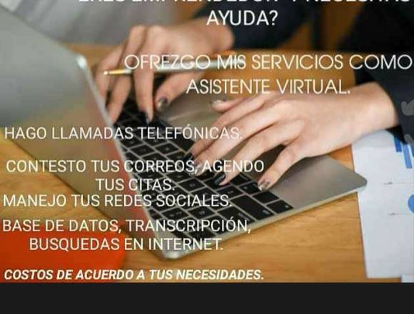 Asistente Virtualrtual Remoto