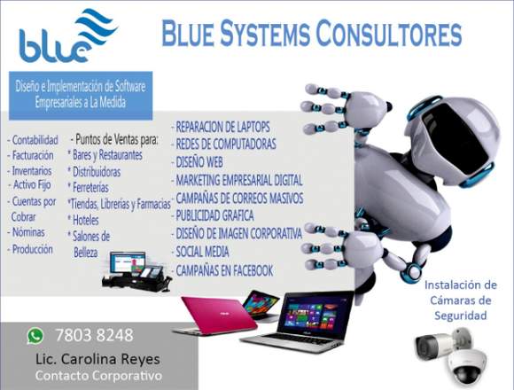 Blue Systems Consultores