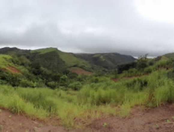 Se vende terreno en calobre