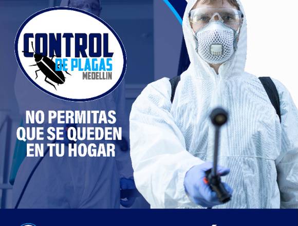 Control y fumigación de plagas