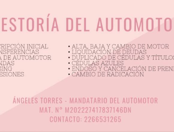 GESTORÍA DEL AUTOMOTOR 🚗