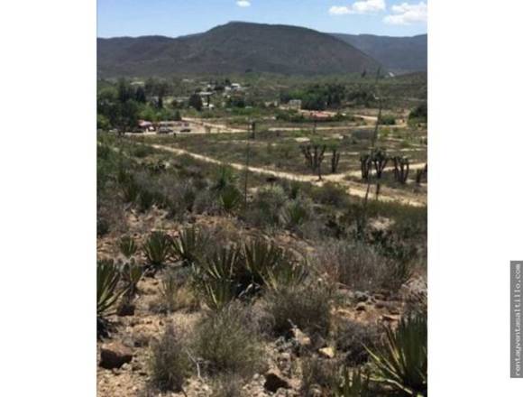 VENTA TERRENO CAMPESTRE. HACIENDA ESPAÑA. RAMOS ARIZPE. $150,000