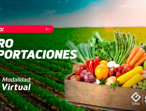 CURSO VIRTUAL DE AGROEXPORTACIONES