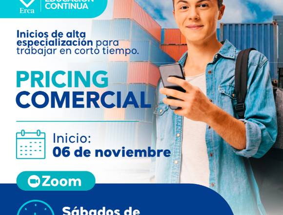 CURSO VIRTUAL DE PRICING COMERCIAL