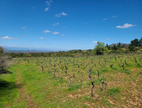 Parcelas en San Javier dueño directo