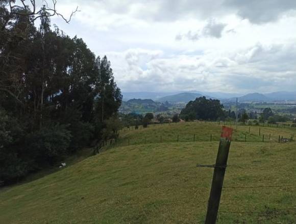 Se vende finca Rodamontal Cogua 