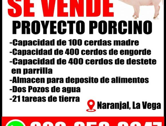Proyecto Porcino (Granja) en la Vega el Naranjal
