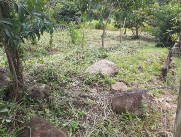 Terreno Barato Sonadora, Penonome