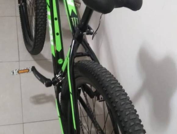 Bicicleta Mountainbike ProLion 29 2021