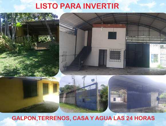 3 INMUEBLES Terreno 10.000 Mts2, Galpón y Casa 