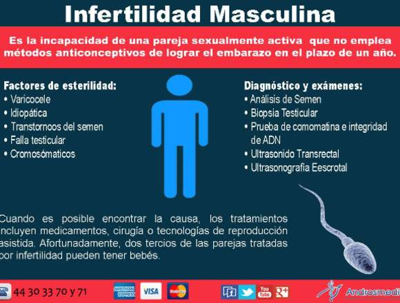 Androsmedic Infertilidad Masculina 