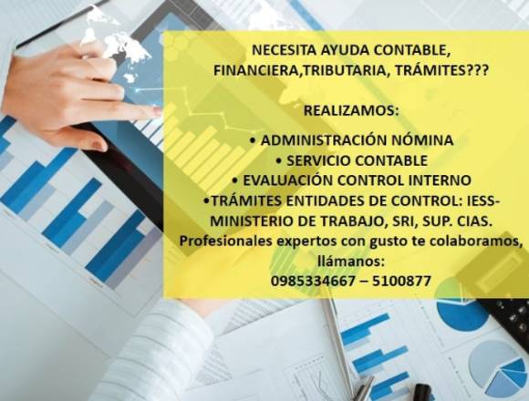 SE ELABORA FLUJOS DE CAJA Y PLAN DE NEGOCIOS