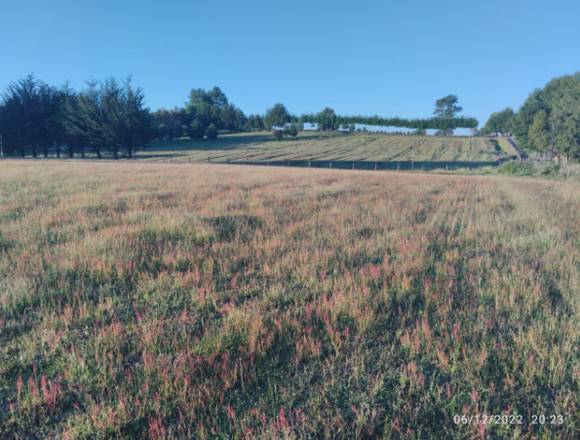 Linda parcela de 5000m2 a 800 metros de carretera