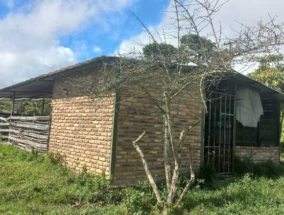 GRANJA PRODUCTIVA EN VENTA. 