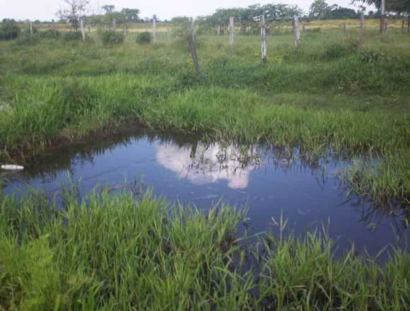 FINCA PRODUCTIVA EN VENTA.