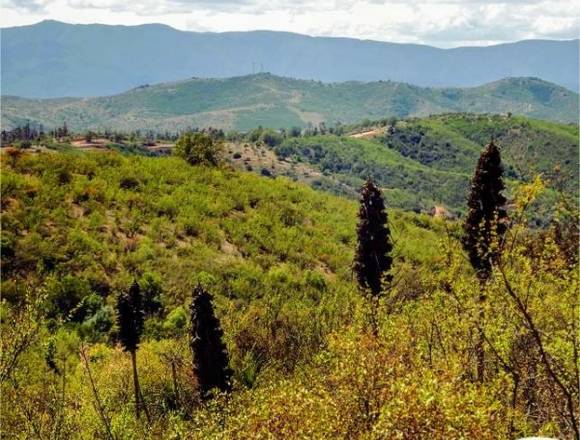 HERMOSAS PARCELAS EN QUILPUE, PEÑABLANCA y LIMACHE