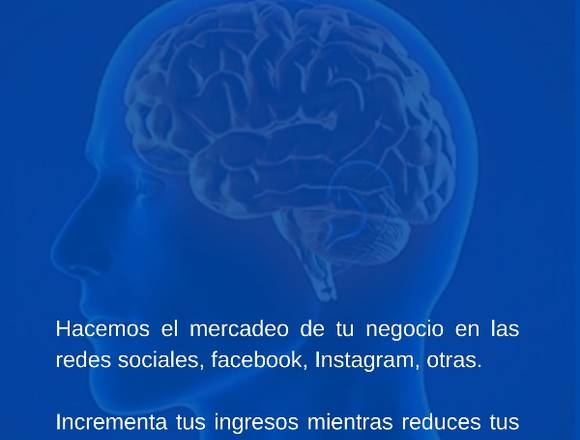 TE AYUDAMOS A INCREMENTAR TUS VENTAS POR INTERNET