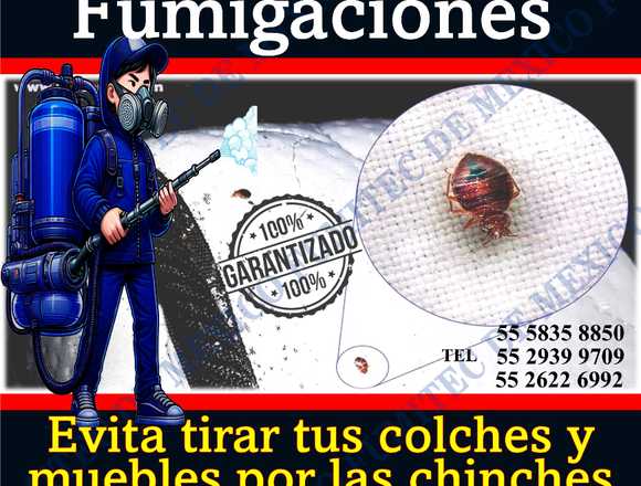 Servicios de fumigacion contra chinches de camas