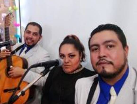 Contratar Trios para serenatas y fiestas en cdmx 