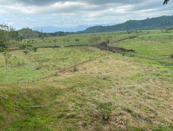 Se vende finca Sierpe, Los Mogos