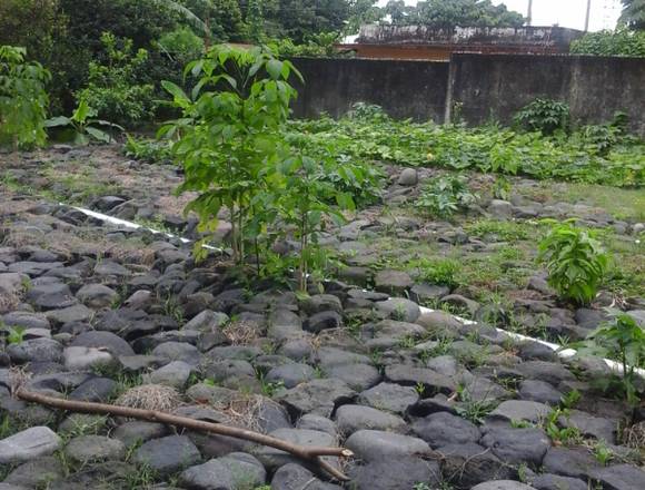 Céntrico terreno a la venta en Mulua, Retalhuleu