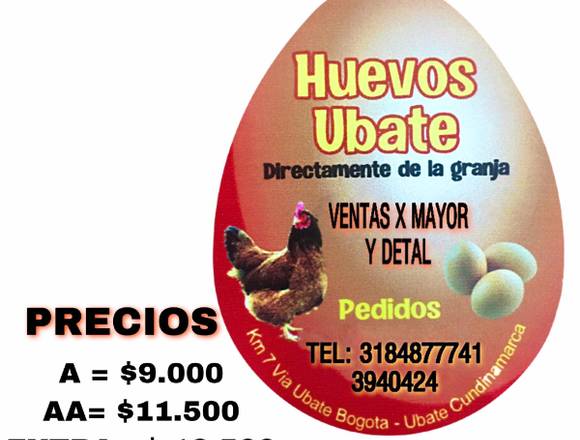 SE VENDEN HUEVOS EXCELENTE CALIDAD Y PRECIO!