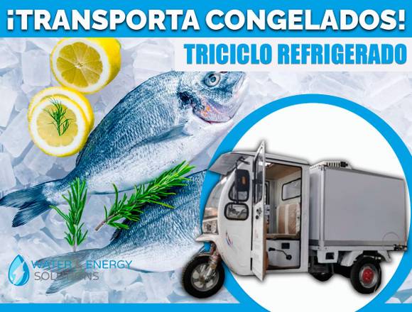 Motocicleta o Triciclo Carga Refrigerada (furgón)