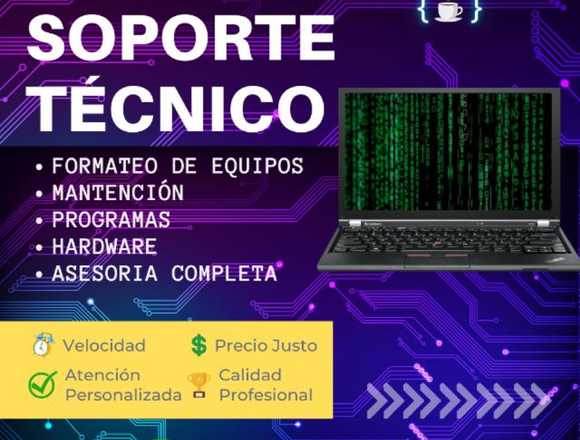 Soporte Técnico Profesional 