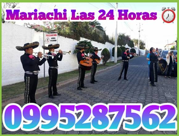 Mariachis en el valle de los chillos 