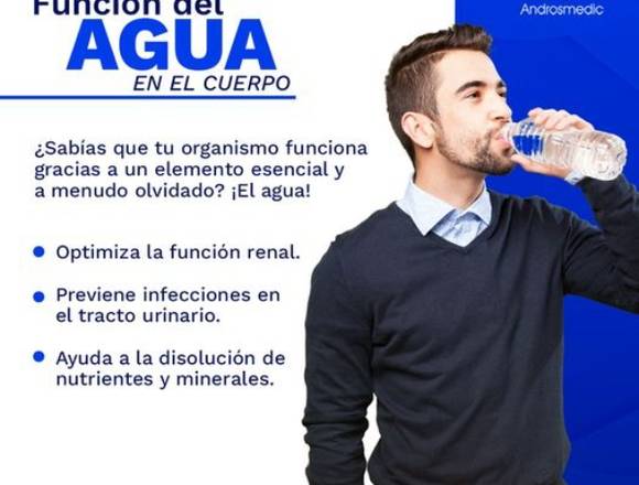 Función del agua en el cuerpo