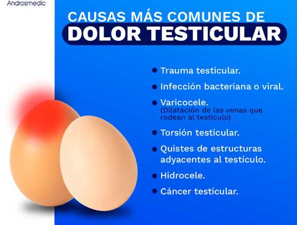 ¿Tienes dolor testicular? 