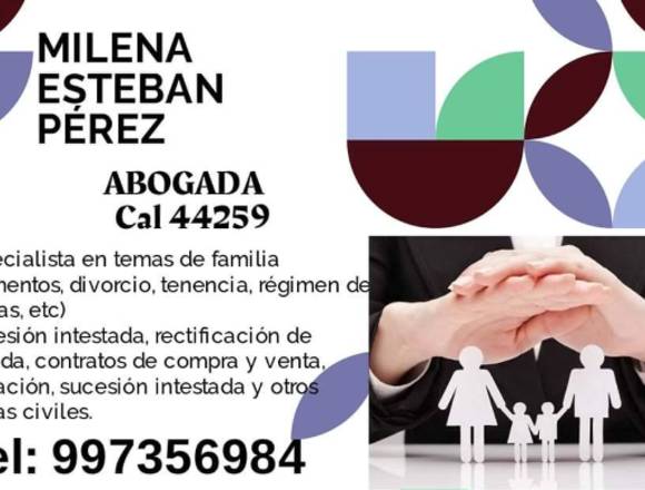 Abogada con experiencia en temas de familia