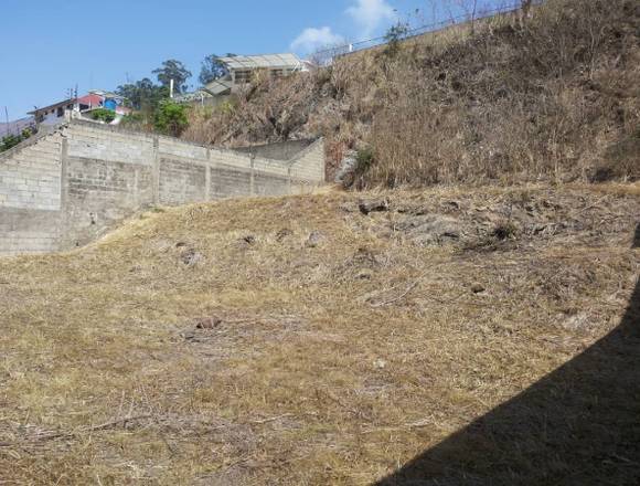 Terreno en la Urbanización Carialinda