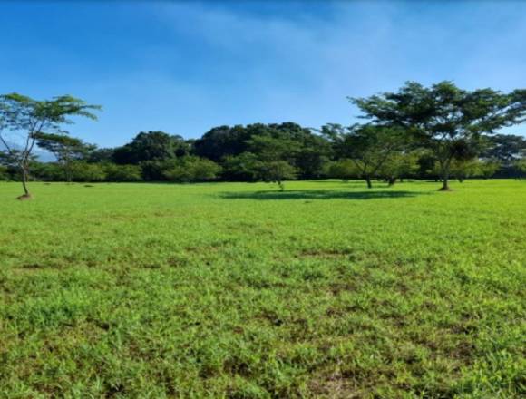 Alquilo terreno en parque industrial en Escuintla