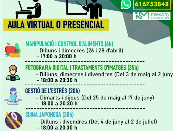 CURSOS SUBVENCIONADOS (Aula Virtual o Presencial)