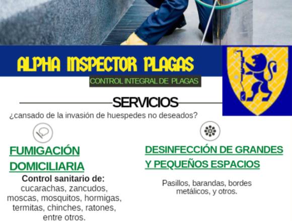 Servicio de Fumigación