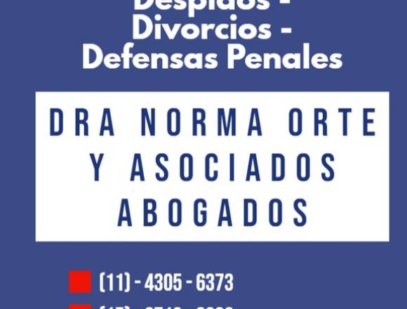 Abogados divorcios penal laboral sucesiones,