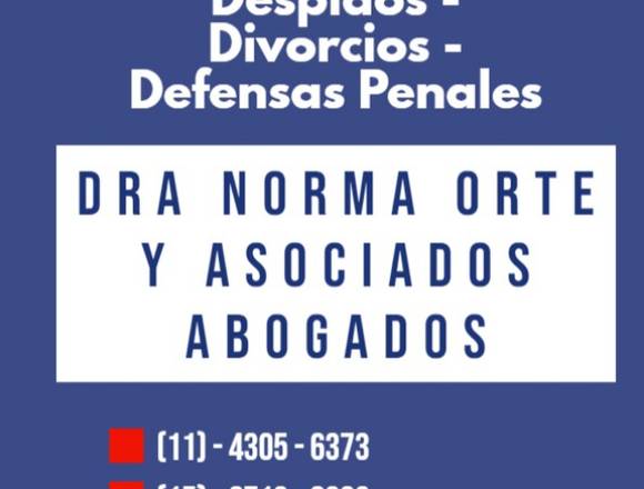 Abogados,divorcios desalojos sucesiones penal