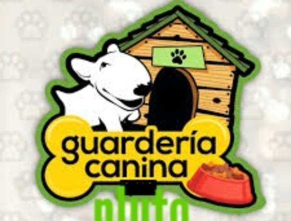 Guardería canina petshop pluto itagui 