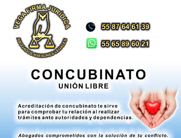 CONCUBINATO ASESORIA LEGAL 55 87 64 61 39