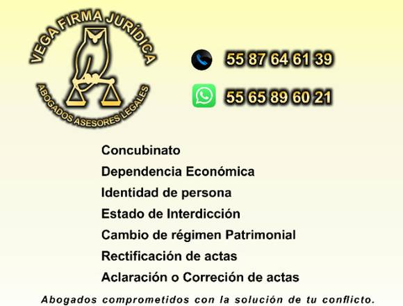 IDENTIDAD DE PERSONA CORRECCION ACTAS 55 8764 6139