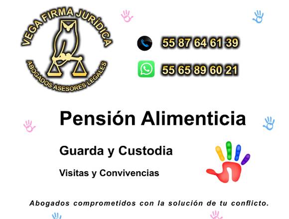 PENSION ALIMENTICIA ASESORIA LEGAL 55 8764 6139