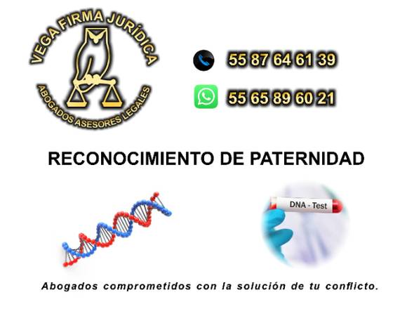 RECONOCIMIENTO DE PATERNIDAD 55 8764 6139 ASESORIA